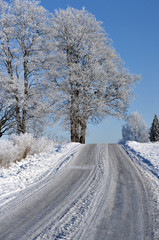 Obraz premium road in winter landscape