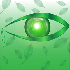 eye of green color on a green background with leaves