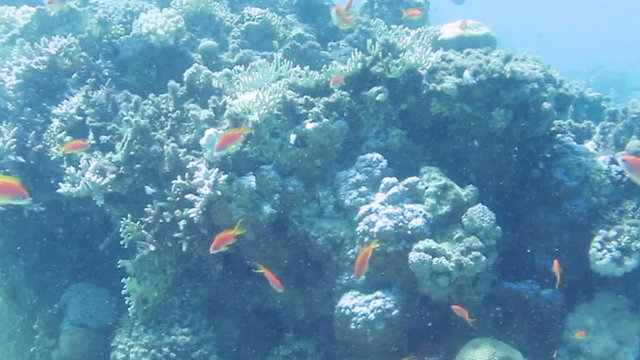 Unterwasser 2