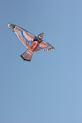 rainbow kite flying in a clear blue sky