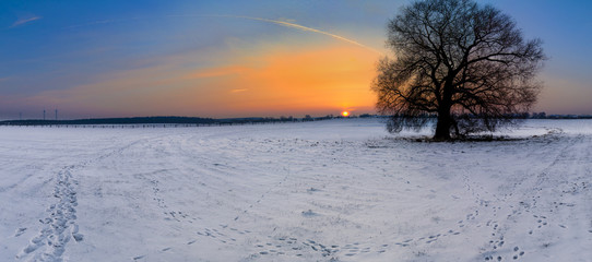 Sonnenaufgang über der Koppel als Panoramafoto