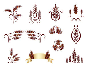 Grain ears. Design elements.