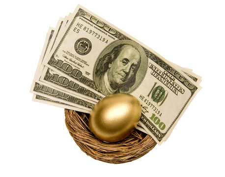 Golden Egg And Money In Nest Isolated On White