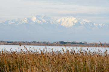 Canigou depuis Canet