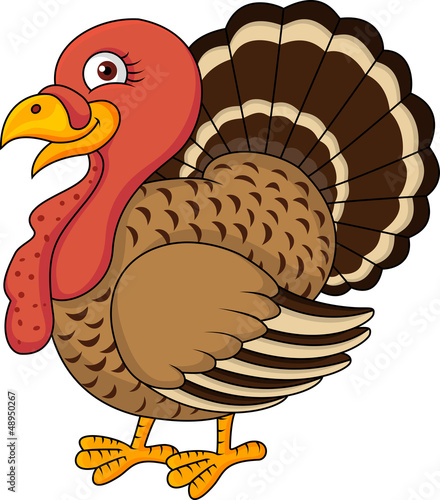 графика рисунок индюк птицы graphics figure Turkey birds загрузить