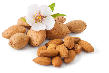 Almond with flower I - 48952087