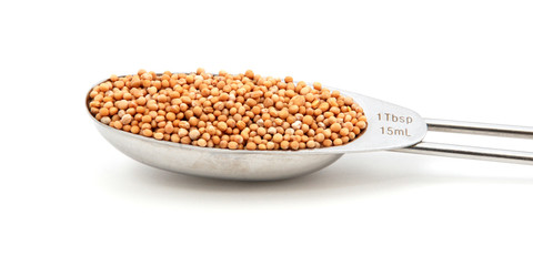 Mustard seeds measured in a metal tablespoon