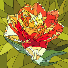 Naklejki  Vector illustration of tulip flower.