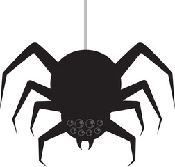 Isolated spider hanging from its silk