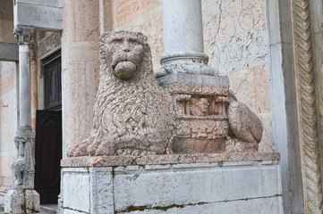 Cathedral of Piacenza. Emilia-Romagna. Italy.