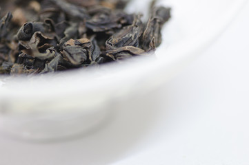 Dry tea leaves on a white background