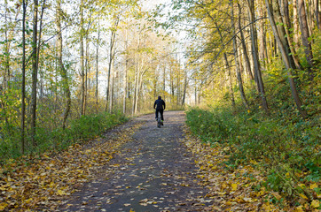 cyclist ride bicycle uphill road color autumn trees park forest