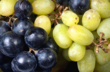 Grapes