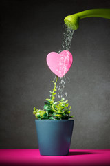 cultivating the love