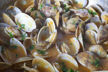 clams