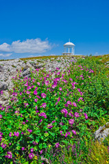 Windy Arbour.Crimean landscape.