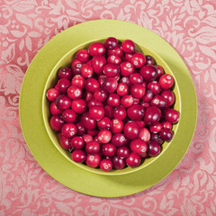 Fresh Cranberries