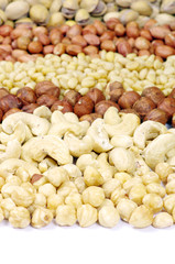mixed nuts