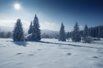 Fototapeta na wymiar zimowy krajobraz