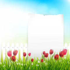 Naklejka premium Spring background with place for text