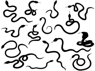 snake silhouettes