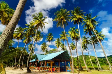 Türaufkleber Palm Trees and Colorful Building © jkraft5