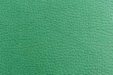 Green Artificial Leather Texture