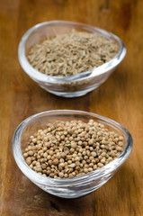 spices - coriander seeds in a glass bowl, selective focus