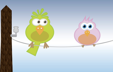 colored birds on electric wire