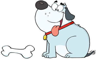 Happy Gray Fat Dog With Bone