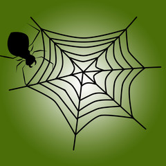 Fototapeta premium spider web