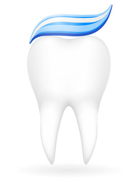 tooth vector illustration