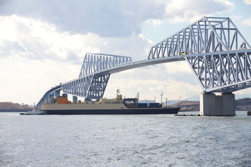 Obraz premium Tokyo Gate Bridge