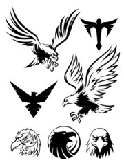 Obraz premium Eagle Symbols