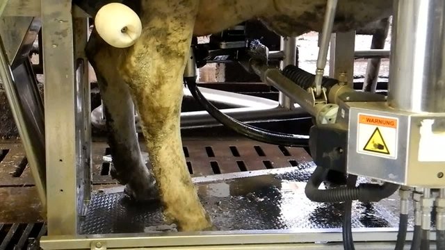 Melkroboter