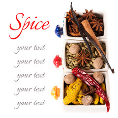 Colorful spices on a white background with sample text