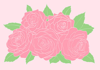 pink roses with green leaves close-up on background