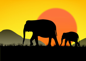 Abstract of Elephant family © supakitmod