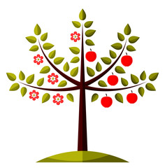 Obraz premium apple tree in two seasons