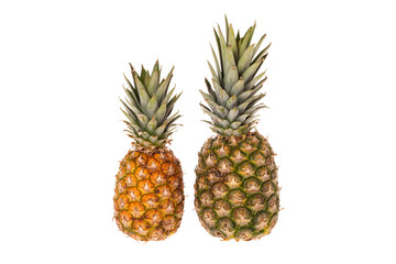 Fototapeta premium Zwei ganze Ananas Früchte