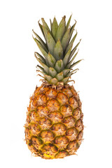 Fototapeta premium Eine ganze Ananas Frucht