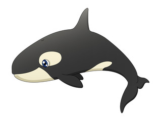 Fototapeta premium Orca Swimming