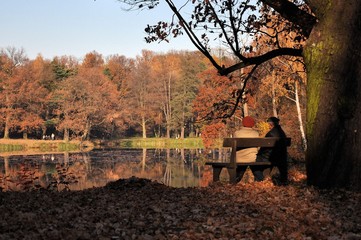 Old couple in a park