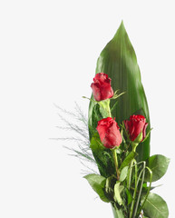 Rosenstrauß - Rose Bouquet