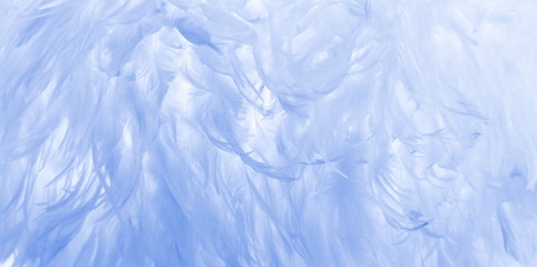 Blue feathers background