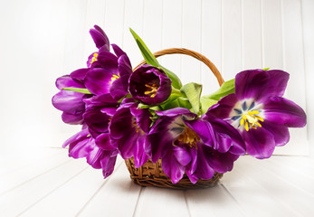 purple tulips in a basket on a white wooden table