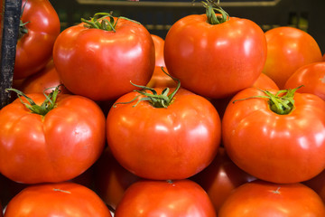 tomatoes