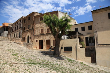 Mallorca / Pollenca