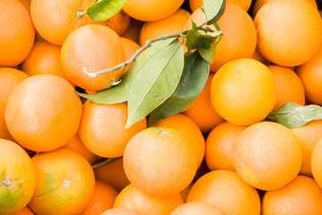 oranges