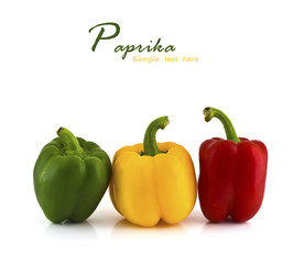 Fresh colorful paprika isolated on white background with copy sp